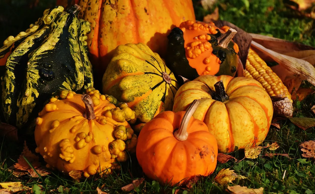 make the photo the star  thanksgiving Layout Ideas Scrapbooking