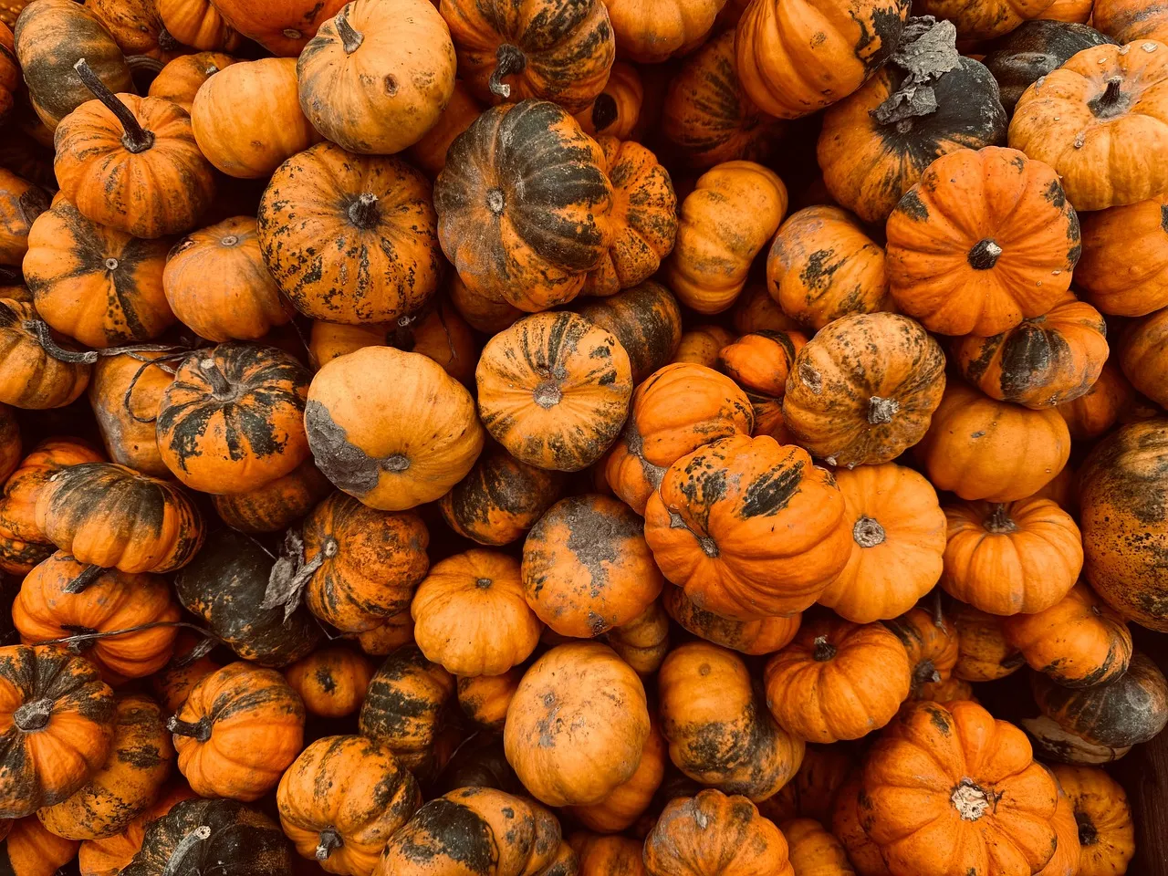 Use One Big Design Element As The Backdrop For Your Photos Halloween Layout Ideas Scrapbooking
