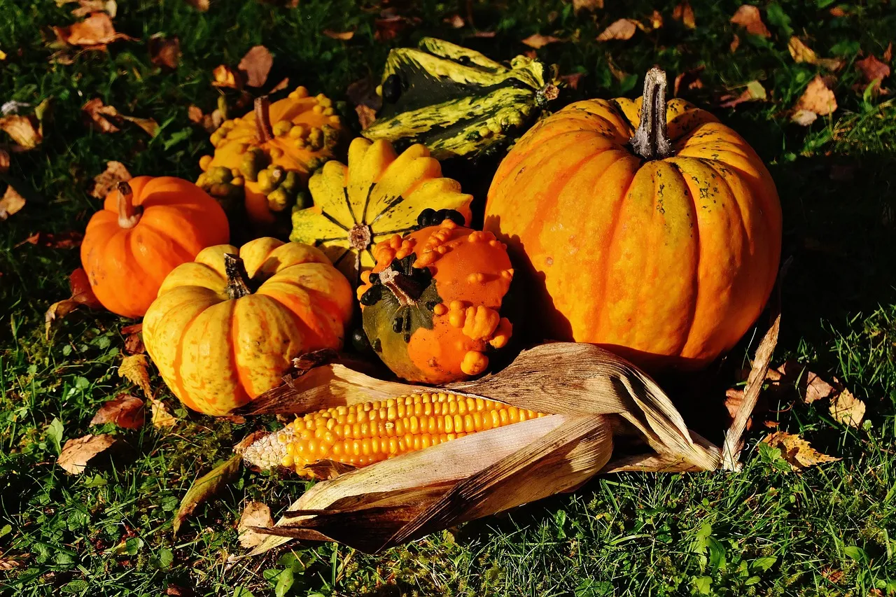Big stylized embellishment thanksgiving Layout Ideas Scrapbooking