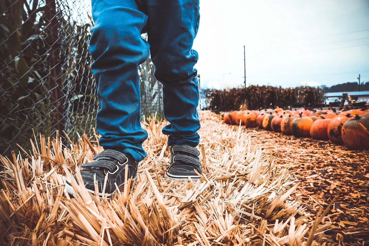 make the photo the star  thanksgiving Layout Ideas Scrapbooking